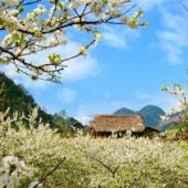 Mảnh đất tiềm năng đầu tư nghỉ dưỡng tại TTNT Mộc Châu